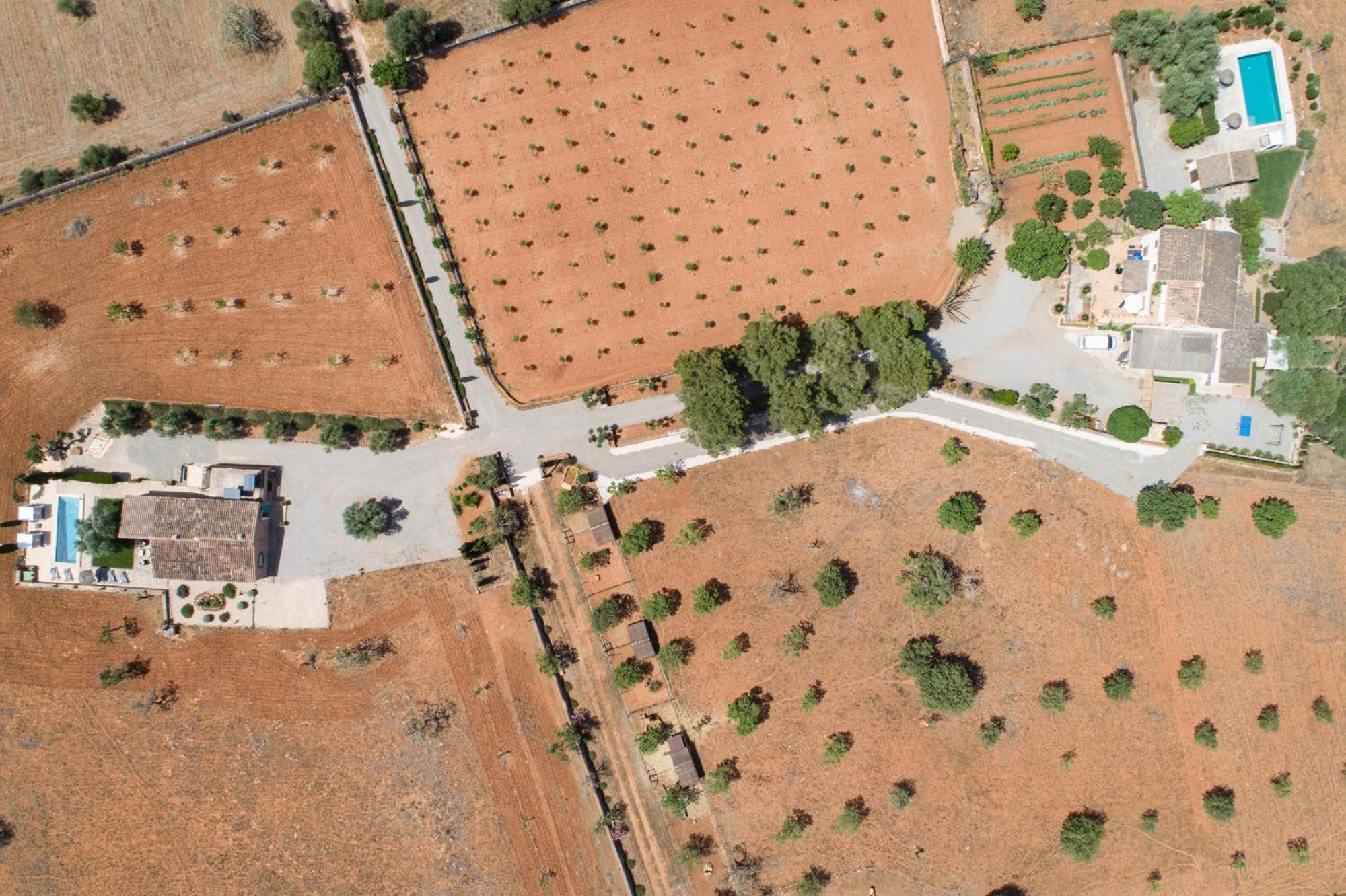 Villa Ses Cases